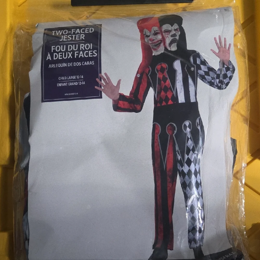 Two-Faced Jester Costume